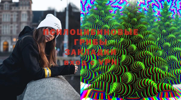 дурь Богданович
