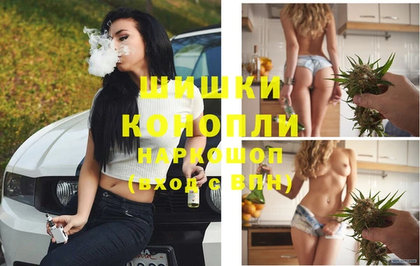 a pvp Белокуриха