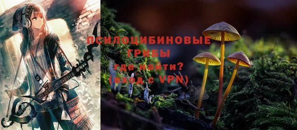 амф Беломорск