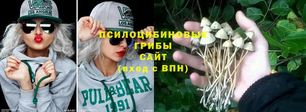 a pvp Белокуриха