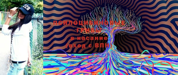 каннабис Богородск