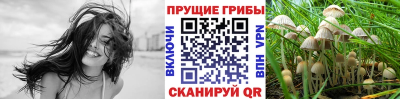 Псилоцибиновые грибы MAGIC MUSHROOMS  Каспийск 